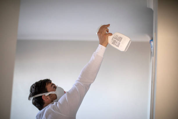 Best Fast Mold Removal  in Napavine, WA