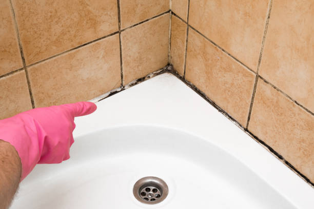 Best Certified Mold Removal  in Napavine, WA